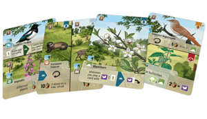 Forest shuffle cards[1]