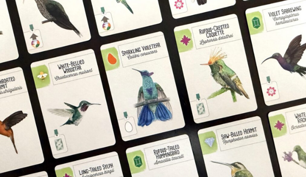 Wingspan bird selection[1]