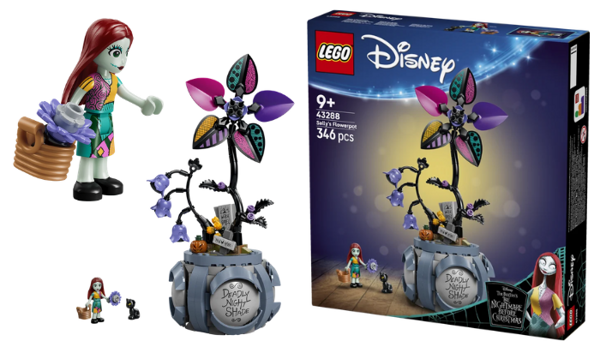 TNBC Sally Lego[1]