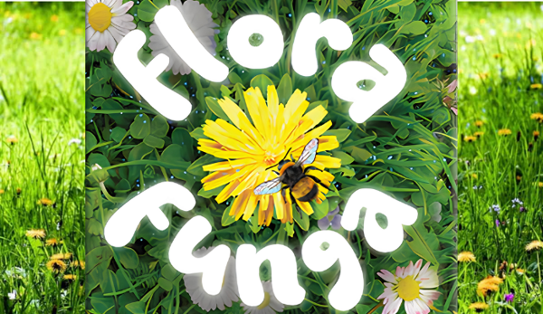 Flora Funga main image[1]