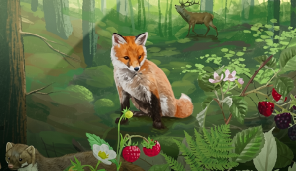 Forest shuffle image[1]