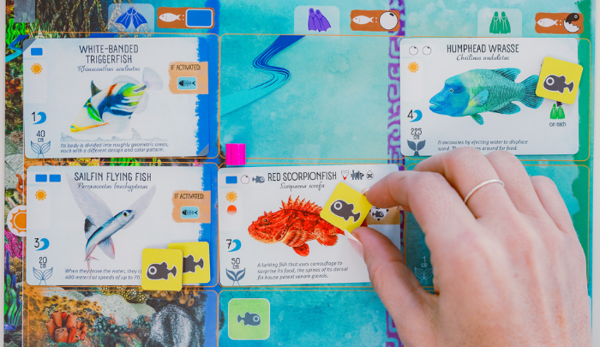 Finspan gameplay[1]
