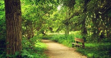 The evil genius of Arboretum