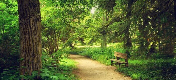 The evil genius of Arboretum