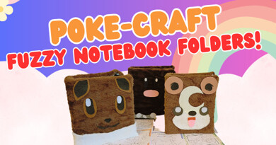 Awesome Chaos Cards Fuzzy Folder Pokemon Workshops!