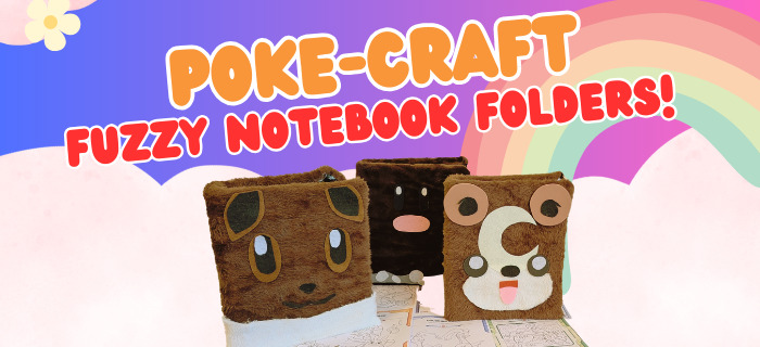 Awesome Chaos Cards Fuzzy Folder Pokemon Workshops!