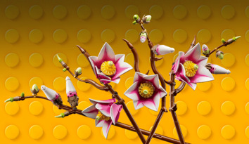 New LEGO Botanicals Range Brings the Outdoors In!