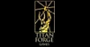 Titan Forge Games