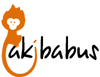 Akibabus