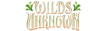 Wilds Unknown Set Logo