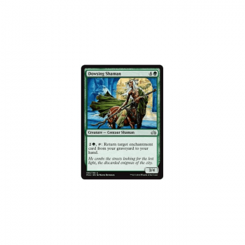 Dowsing Shaman : PLANECHASE ANTHOLOGY 063/156 - Magic the Gathering Single Card