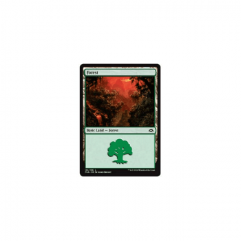 Forest : PLANECHASE ANTHOLOGY 153/156 - Magic the Gathering Single Card