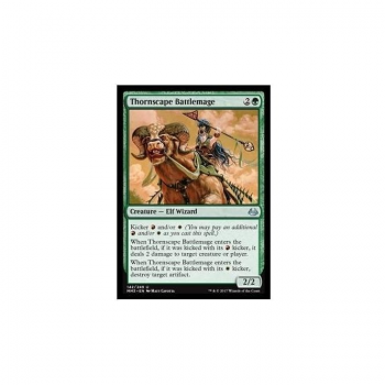 Thornscape Battlemage : MODERN MASTERS 2017 142/249 - Magic the Gathering Single Card