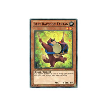 Baby Raccoon Tantan (Common) : SHSP-EN015 - Yu-Gi-Oh! Single Card