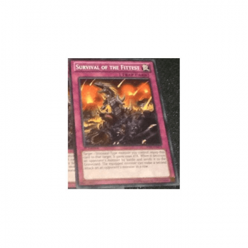 Survival of the Fittest (Common) : SHSP-EN079 - Yu-Gi-Oh! Single Card