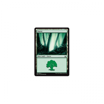 Forest : DUEL DECKS: MIND VS. MIGHT 63/65 - Magic the Gathering Single Card