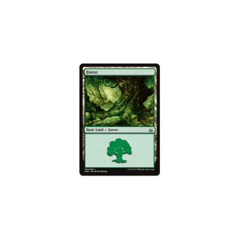 Forest : DUEL DECKS: MIND VS. MIGHT 64/65 - Magic the Gathering Single Card