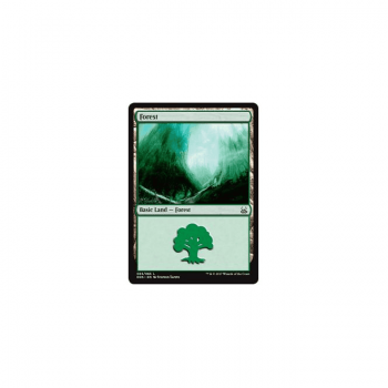 Forest : DUEL DECKS: MIND VS. MIGHT 65/65 - Magic the Gathering Single Card