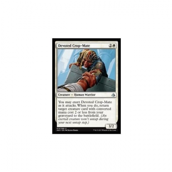Devoted Crop-Mate : AMONKHET 010/287 - Magic the Gathering Single Card