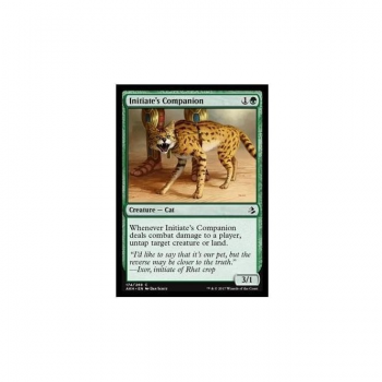 Initiate's Companion : AMONKHET 174/287 - Magic the Gathering Single Card