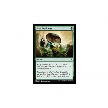 Shed Weakness : AMONKHET 185/287 - Magic the Gathering Single Card