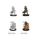 D&D Nolzur's Marvelous Minis: Male Elf Sorcerer - Image 3