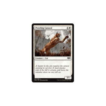 Prowling Caracal : RAVNICA ALLEGIANCE 017/259 - Magic the Gathering Single Card