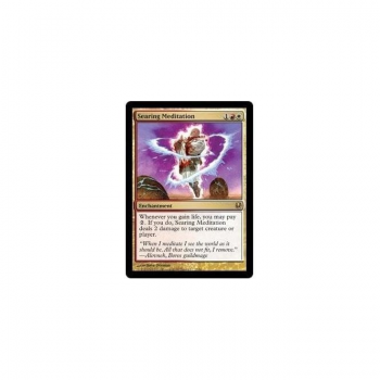 Searing Meditation : DUEL DECKS: AJANI VS. NICOL BOLAS 27/80 - Magic the Gathering Single Card