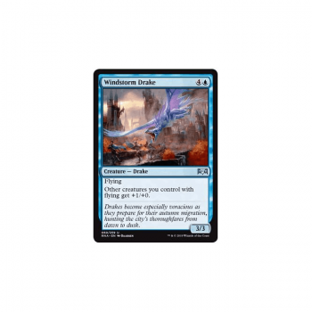 Windstorm Drake : RAVNICA ALLEGIANCE 060/259 - Magic the Gathering Single Card
