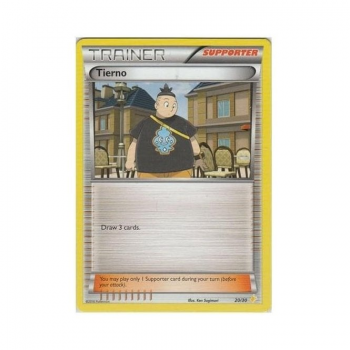 Tierno : XY - ELITE TRAINER PIKACHU LIBRE & SUICUNE P020 - Pokemon Single Card