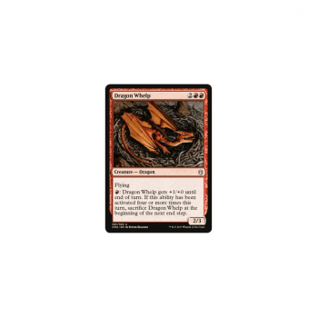 Dragon Whelp : COMMANDER ANTHOLOGY 081/320 - Magic the Gathering Single Card