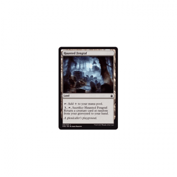 Haunted Fengraf : COMMANDER ANTHOLOGY 255/320 - Magic the Gathering Single Card