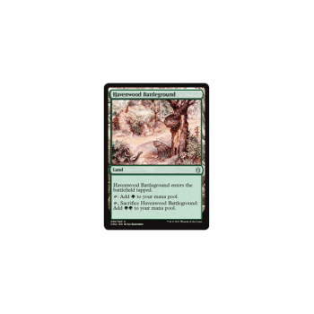 Havenwood Battleground : COMMANDER ANTHOLOGY 256/320 - Magic the Gathering Single Card