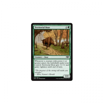 Territorial Boar : RAVNICA ALLEGIANCE 145/259 - Magic the Gathering Single Card