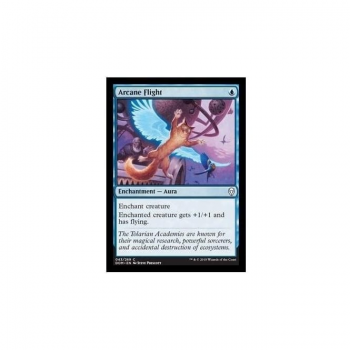 Arcane Flight : DOMINARIA 043/280 - Magic the Gathering Single Card