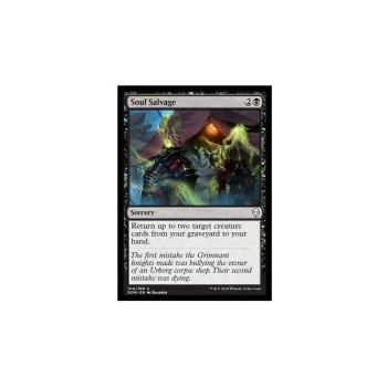 Soul Salvage : DOMINARIA 104/280 - Magic the Gathering Single Card