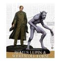 Harry Potter Miniatures Adventure Game : Remus Lupin
