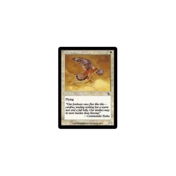 Suntail Hawk : JUDGMENT 028/143 - Magic the Gathering Single Card