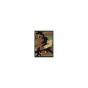 Legion Supplies Deck Protectors (50 Count) Camo (Green) - Image 2