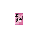 Legion Supplies Deck Protectors (50 Count) Camo (Pink) - Image 2
