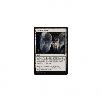 Evolving Wilds : COMMANDER ANTHOLOGY 2018 249/312 - Magic the Gathering Single Card
