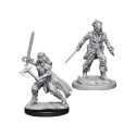 D&D Nolzur's Marvelous Minis: Vampire Hunters - Image 2