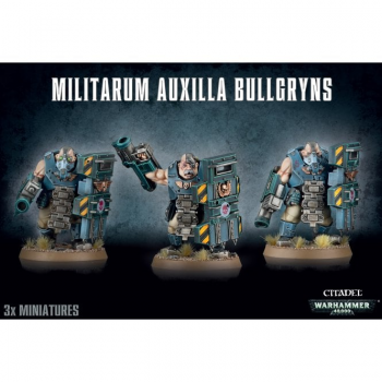 Warhammer 40K : Astra Militarum Bullgryns
