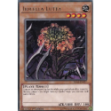 Yu-Gi-Oh! Trading Card - Ibicella Lutea (IGAS-EN027) - Rare - Unlimited Edition - View #14