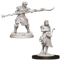D&D Nolzur's Marvelous Minis: Yuan-Ti Purebloods Adventurers - Image 2