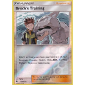 Brock's Training (REVERSE HOLO) : SUN AND MOON - HIDDEN FATES 55/68 - Pokemon Single Card - Image 2