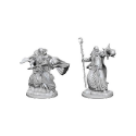 D&D Nolzur's Marvelous Minis: Human Wizard (Male)