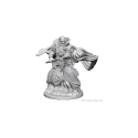 D&D Nolzur's Marvelous Minis: Human Wizard (Male) - Image 2