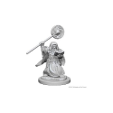 D&D Nolzur's Marvelous Minis: Dwarf Wizard (Male) - Image 2