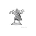 D&D Nolzur's Marvelous Minis: Human Sorcerer (Male) - Image 3